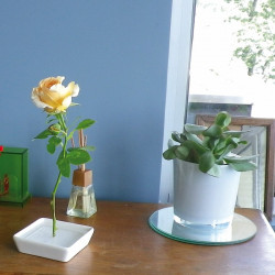 Vase pour fleurs à planter sur tige