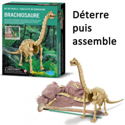 Bracchiosaure à déterrer et à assembler 4M