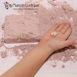 Dinosaure brachiosaure à déterrer et à assembler 4M