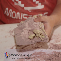 Dinosaure brachiosaure à déterrer et à assembler 4M