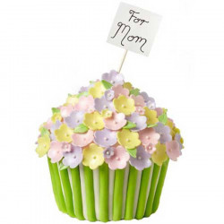 Moule A Cupcake Geant Wilton Dimensions Moule A Cupcake Geant Wilton Dimensions