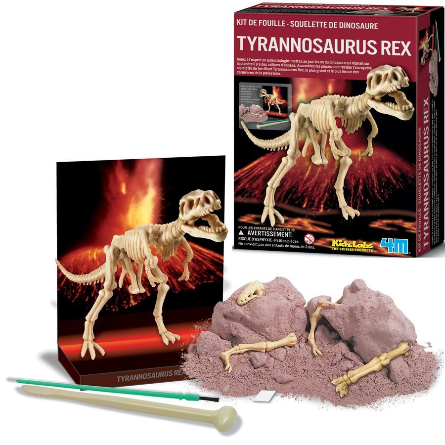 Nouveau Doigt Mordant Dinosaure Articulations Tyrannosaurus Rex Monté sur  oeuf Simulation Modèle de dinosaure Cadeaux de Noël pour enfants