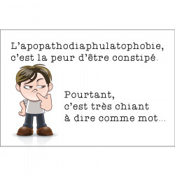 Panneau humour déco - Apopathodiaphulatophobie