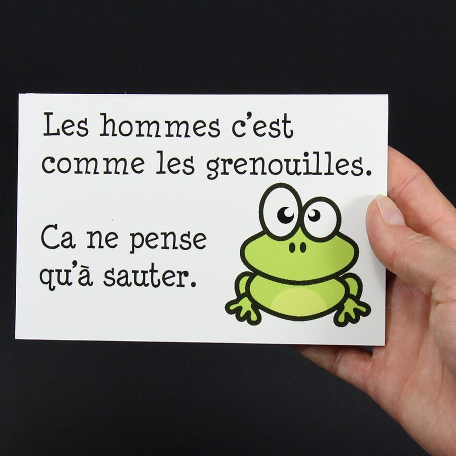 Panneau humour déco - L'homme c'est comme la grenouille