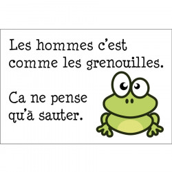 Panneau humour déco - L'homme c'est comme la grenouille