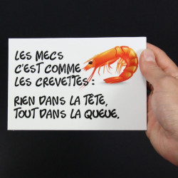 Panneau humour déco - Les mecs c'est comme les crevettes