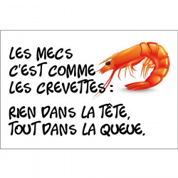 Panneau humour déco - Les mecs c'est comme les crevettes