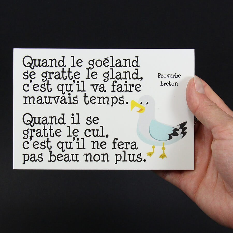 Panneau humour déco - Quand le goéland