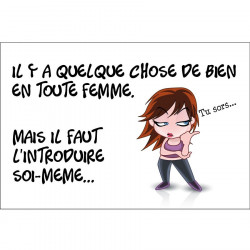 Panneau humour déco - Quelque chose de bien en toute femme