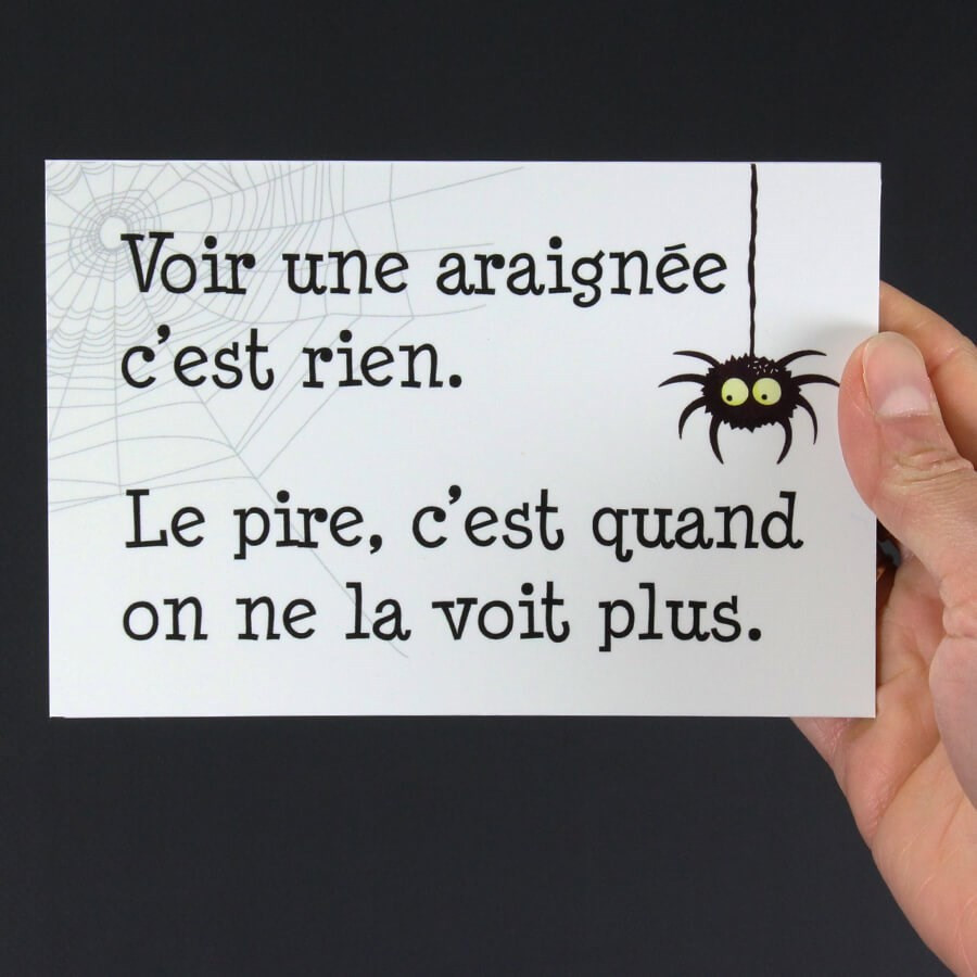 Panneau humour déco - Voir une araignée c'est rien