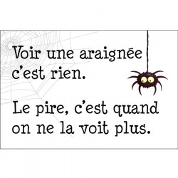 Panneau humour déco - Voir une araignée c'est rien