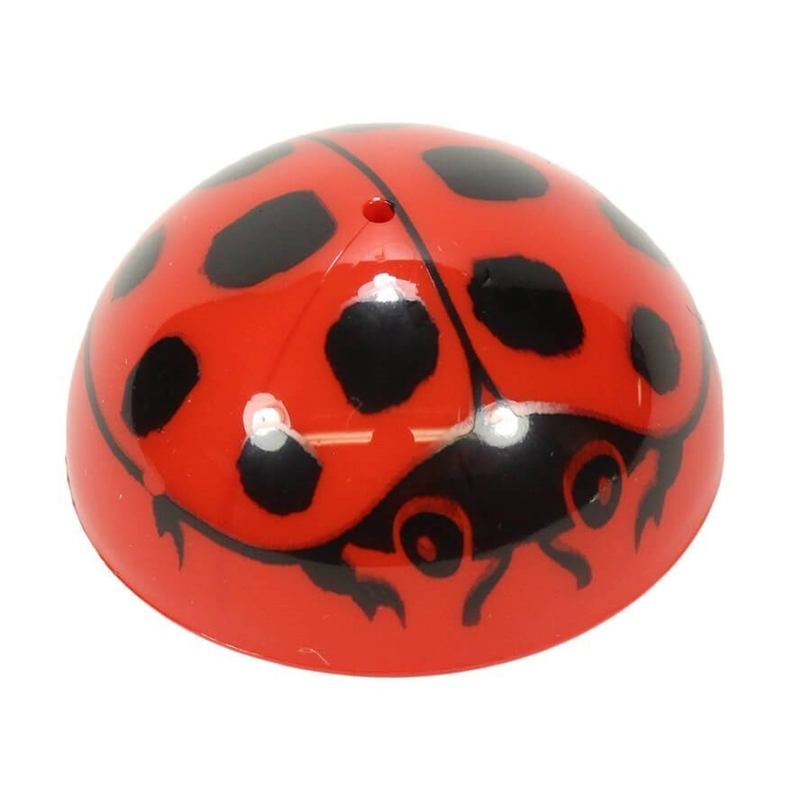 Puce sauteuse coccinelle Puce sauteuse coccinelle