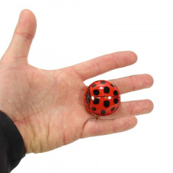 Puce sauteuse coccinelle