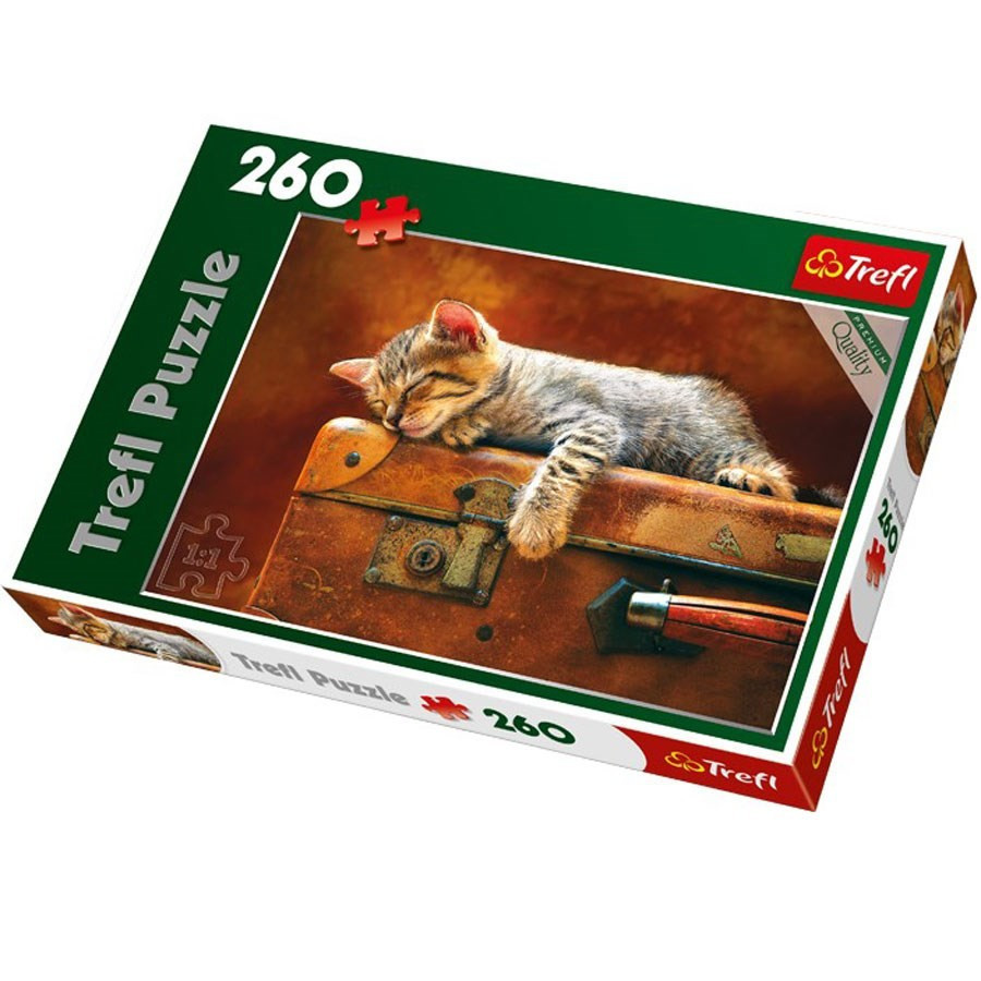 Puzzle 260 pièces - Rêve de chat