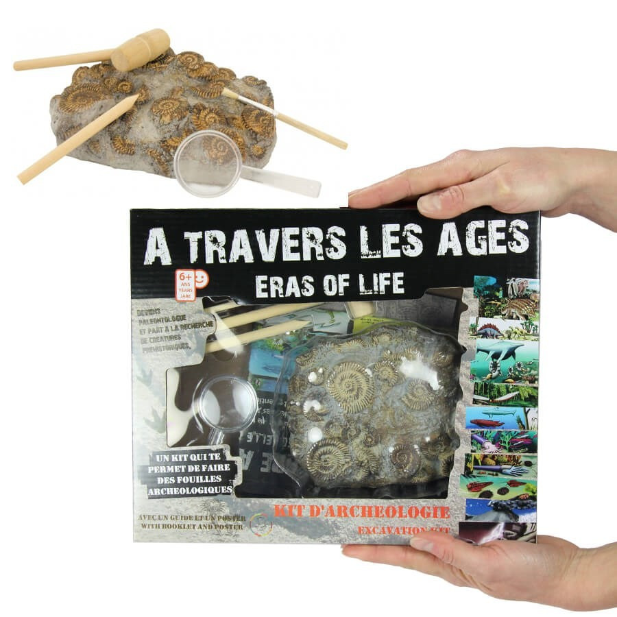 Kit Fouille Fossiles Dinosaures - 4 Dinos à Excaver : T-Rex, Tricératops...