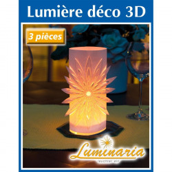 Sacs lanterne en papier Lumière déco 3D Luminaria - lot de 3