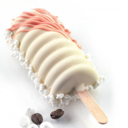 Moule Stecco Flex Pour Gateaux Et Glaces 12 Tango 90ml Moule Stecco Flex Pour Gateaux Et Glaces 12 Tango 90ml