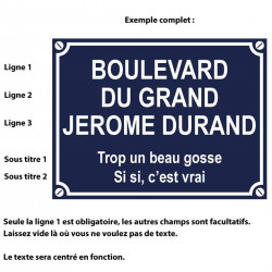 Plaque de rue personnalisée humour, ok extérieur - 20x15 cm