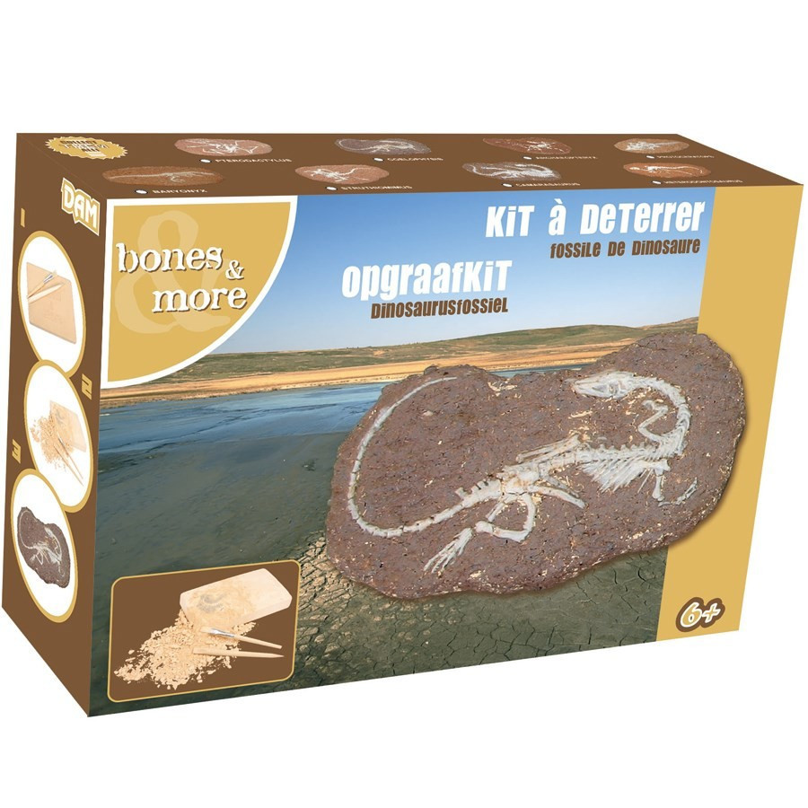 Moules à Sable Dinosaure BUSDUGA 2928 - 10 Pièces Pour Bac à Sable Ou Plâtre, 70 Cm De Long - Jouet De Plage Et Activité Créative