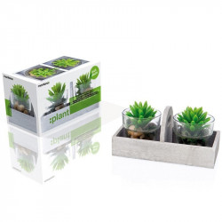 Ensemble déco avec 2 plantes Montana