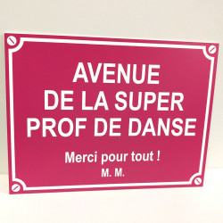 Plaque de rue personnalisée humour, ok extérieur - 20x15 cm