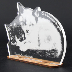 Trophée cadeau Chatons à personnaliser