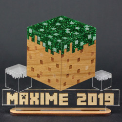 Trophée Minecraft personnalisable