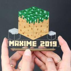 Trophée Minecraft personnalisable