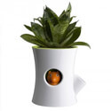 Vases